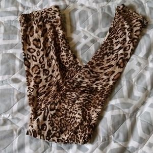 Lepoard print tights